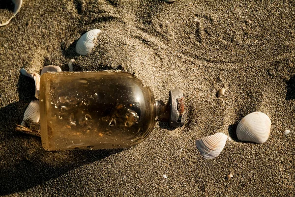 The waste deposited by the rivers on the beaches — Stock Photo, Image