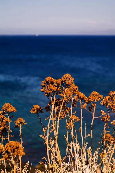 Пейзаж островів Егади (Фавіньяна, Сицилія, Італія). — стокове фото