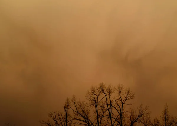 サハラから北イタリアの砂嵐 ロイヤリティフリーのストック画像