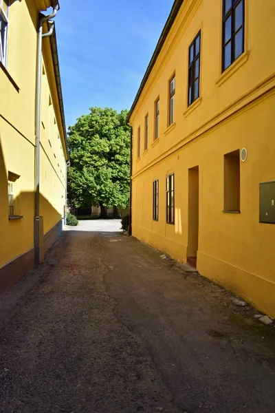 Gamla Historiska Staden Tjeckiska Böhmen — Stockfoto