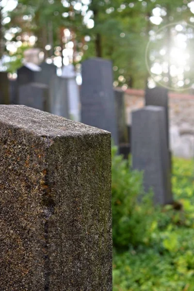 Stary Zabytkowy Klasztor Lomec Południowe — Zdjęcie stockowe