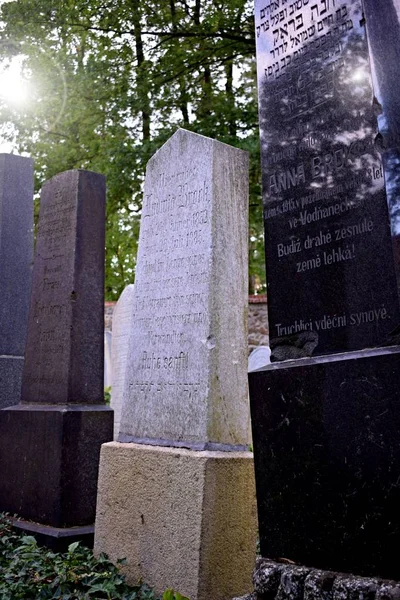 Stary Cmentarz Żydowski Pradze Czechy Południowe — Zdjęcie stockowe