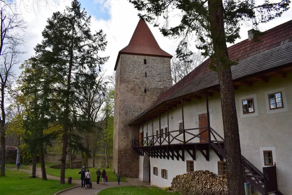 Ancien Château Zvikov Bohême Sud — Photo