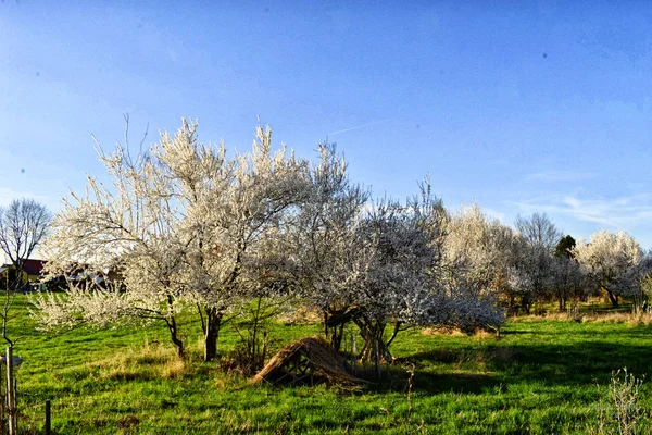 Eski Güney Bohemya bina 