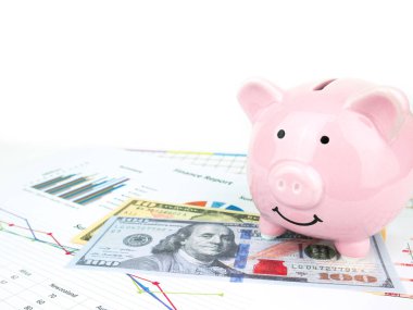İş çizelgeleri ve doları banknot, ekonomi kavramı ile pembe piggy banka.