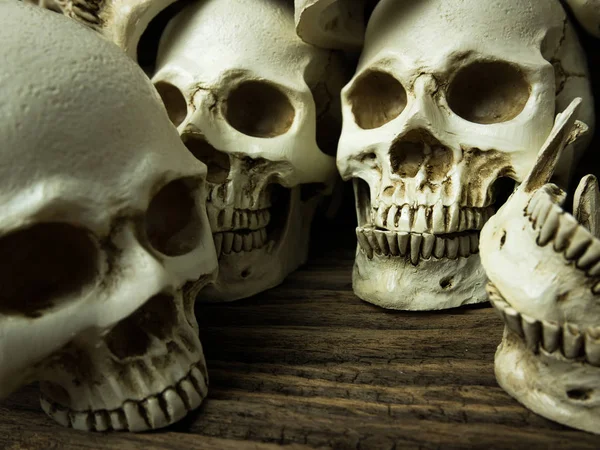 Awesome pile of skull and bone on old wooden background, Still Life style, selective focus, Halloween.