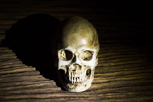 Calavera Humana Sobre Fondo Madera Vieja Bodegón — Foto de Stock