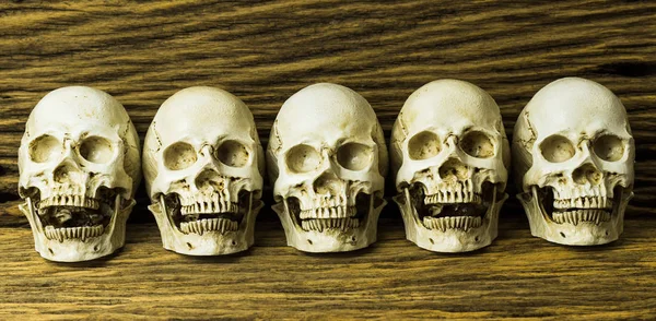 Genocidios Calavera Sobre Fondo Madera Naturaleza Muerta —  Fotos de Stock