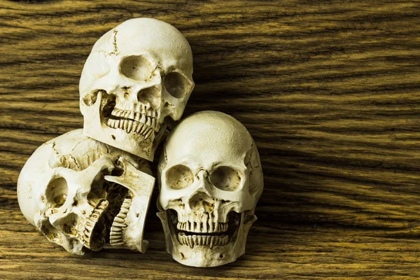 Genocidios Calavera Sobre Fondo Madera Naturaleza Muerta — Foto de Stock