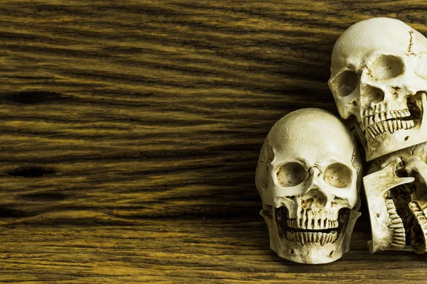 Genocidios Calavera Sobre Fondo Madera Naturaleza Muerta —  Fotos de Stock