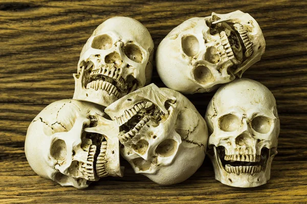 Genocidios Calavera Sobre Fondo Madera Naturaleza Muerta —  Fotos de Stock