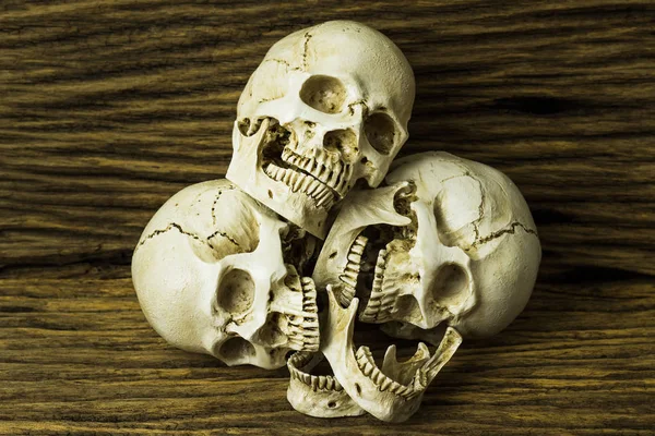 种族灭绝 头骨在木背景或静物样式 — 图库照片