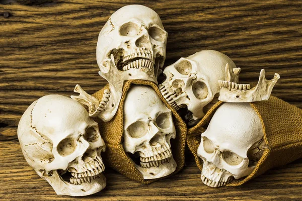 Genocidios Calavera Sobre Fondo Madera Naturaleza Muerta —  Fotos de Stock