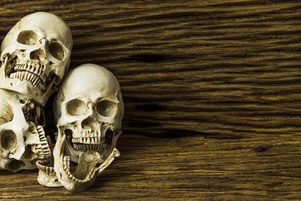 Genocides Skull Wooden Background Still Life Style — Stock Photo, Image