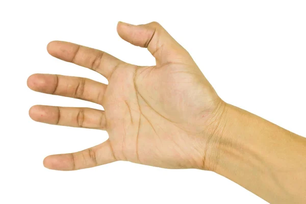 Männliche Hand Zeigt Fünf Finger Isoliert Auf Weißem Hintergrund Inklusive — Stockfoto