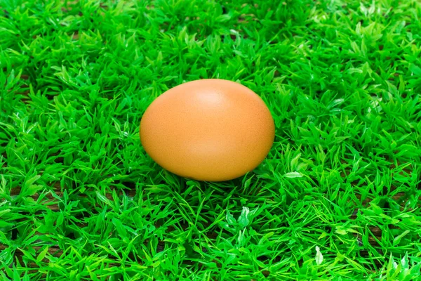 Yeşil Çimenlerin Üzerinde Yumurta — Stok fotoğraf
