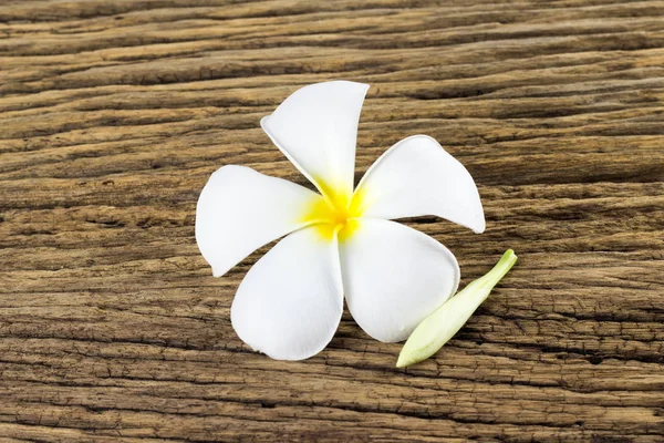 Plumeria Med Gammel Trebakgrunn – stockfoto