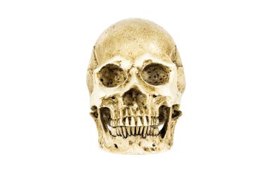 İnsan kafatası beyaz arka plan üzerinde kırpma yolu izole.