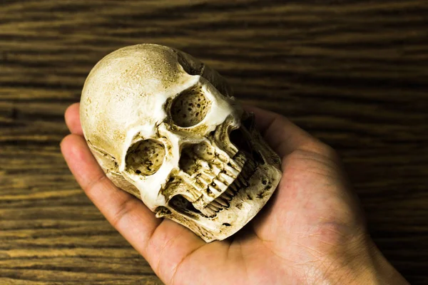 Crânio Humano Mão Com Fundo Madeira Velha Natureza Morta — Fotografia de Stock