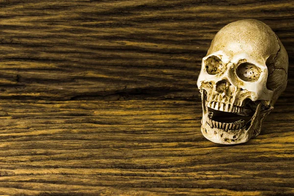 Calavera Humana Sobre Fondo Madera Vieja Bodegón — Foto de Stock