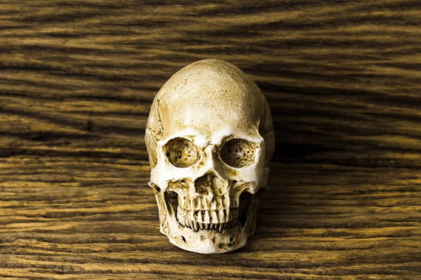 古い木製の背景 人間の頭蓋骨静物 — ストック写真