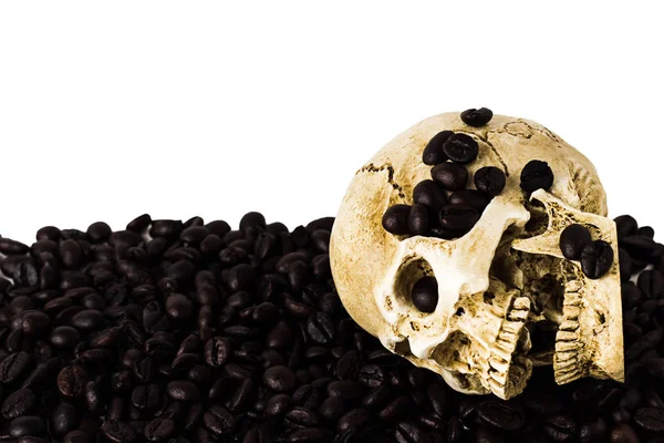 Människans Kranium Kaffebönor Isolerad Vit Bakgrund Urklippsbana — Stockfoto