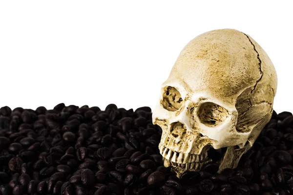 Calavera Humana Granos Café Aislados Sobre Fondo Blanco Camino Recorte —  Fotos de Stock