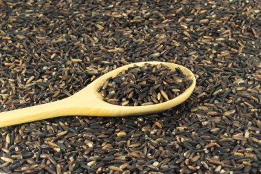 Tayland pirinç berry closeup ayrıntılarını, pirinç berry bir çapraz-bred unmilled pirinç koyu mor tahıl sahip olduğunu.