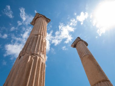Antik kent Efes harabeleri, Tur'daki antik Yunan kenti