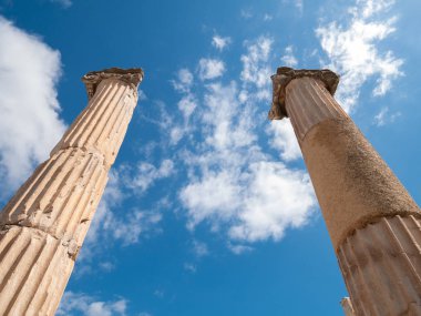 Antik kent Efes harabeleri, Tur'daki antik Yunan kenti
