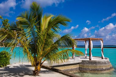 Güzel pergola ile bir palm paradise Beach
