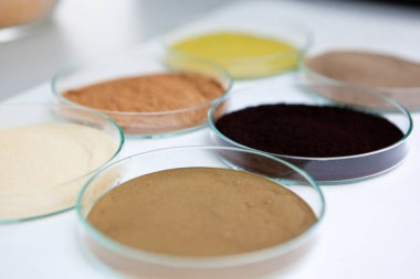 Bir laboratuvarda zeytin ayıklamaları