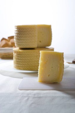 Lezzetli geleneksel İspanyol peynir