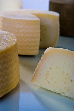Lezzetli geleneksel İspanyol peynir