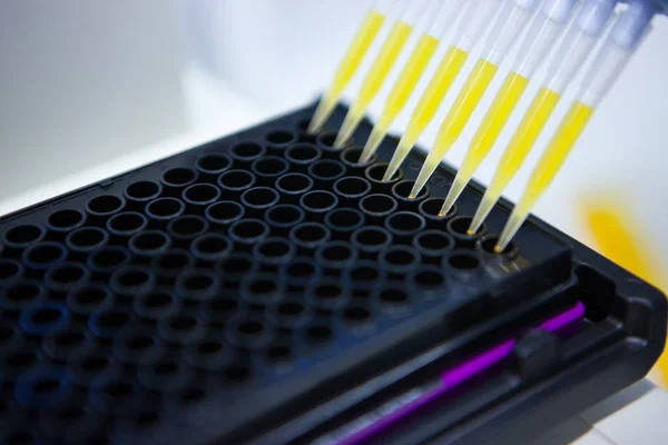 Tubos de ensayo en el laboratorio con un líquido amarillo —  Fotos de Stock