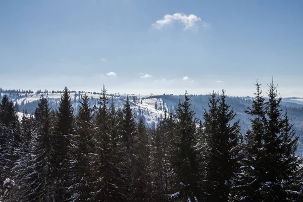 Benim en sevdiğim mevsim kış olduğunu