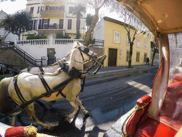 Следуйте за конным экипажем в Боюкаде, Стамбул, Турция — стоковое фото