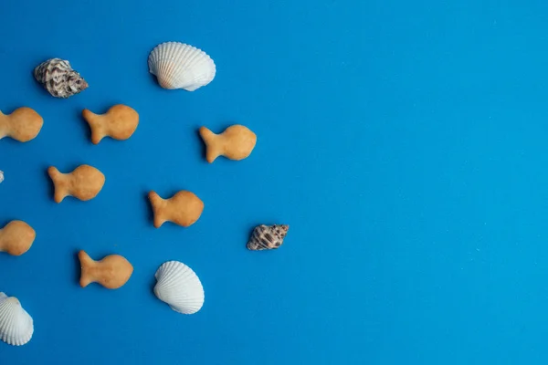 Composition of exotic sea shells and fish crackers on a blue bac