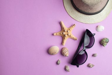 Yaz aksesuarları, deniz egzotik kabukları, mor arka plan üzerinde şapka ve güneş gözlüğü. Yaz tatili ve deniz konsepti. Metin için copyspace