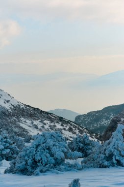 Karlı ağaçlar ve dağlar. mavi gökyüzü ve bulutlar.