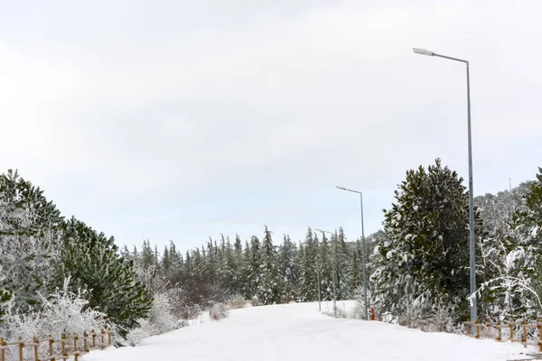 Snowy road, trees, street lamps and sky. blue sky and clouds. Fragment of melted snow and soil.