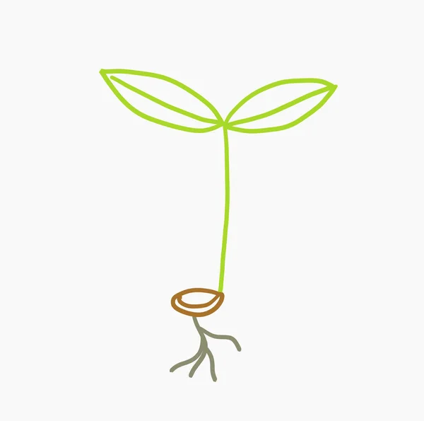 Doodle Dibujado Planta Plántulas Icono Ilustración Vectorial — Vector de stock