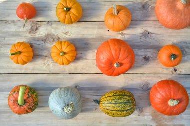 Kabaklar ve squashes ahşap tahta üzerinde. Sonbahar arka plan
