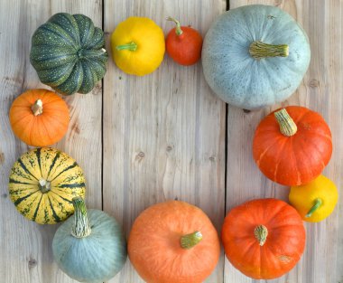 Kabaklar ve squashes çerçeve. Sonbahar arka plan
