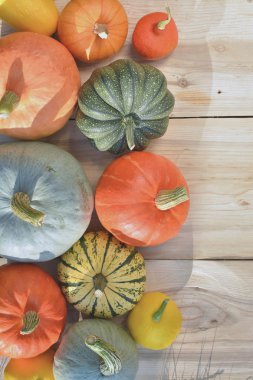 Kabaklar ve squashes ahşap arka plan üzerinde