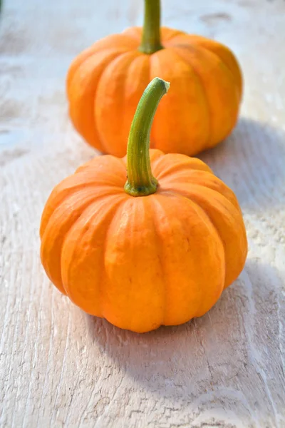 Beyaz Tahta Üzerinde Küçük Pumpkins Jack Olmak — Stok fotoğraf