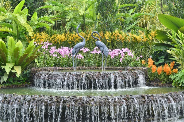 Orchid Garden Fontanna Singapurze — Zdjęcie stockowe