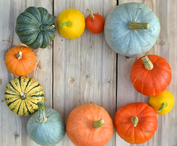 Pumpkins Squashes Frame Autumn Background — Stock Photo, Image