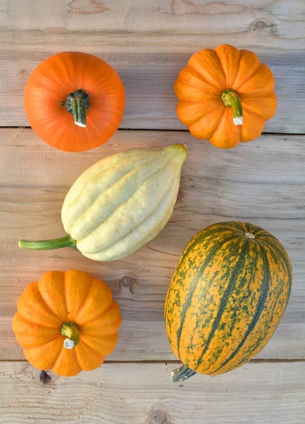 Little Pumpkins Wooden Background Flat Lay Composition — Stock Photo, Image