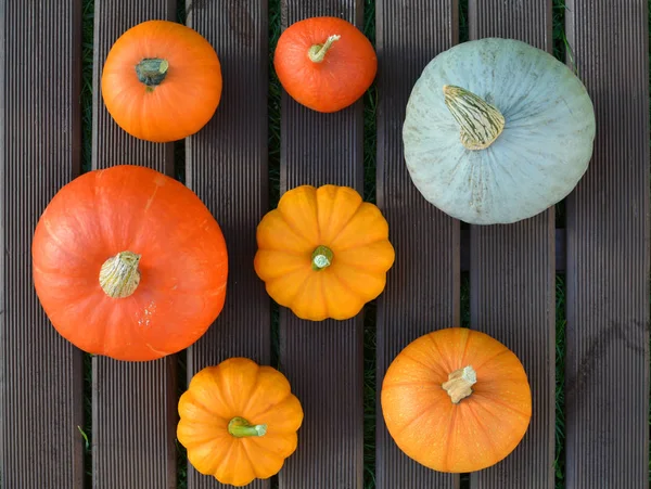 Citrouilles Sur Fond Planches Bois Brun — Photo